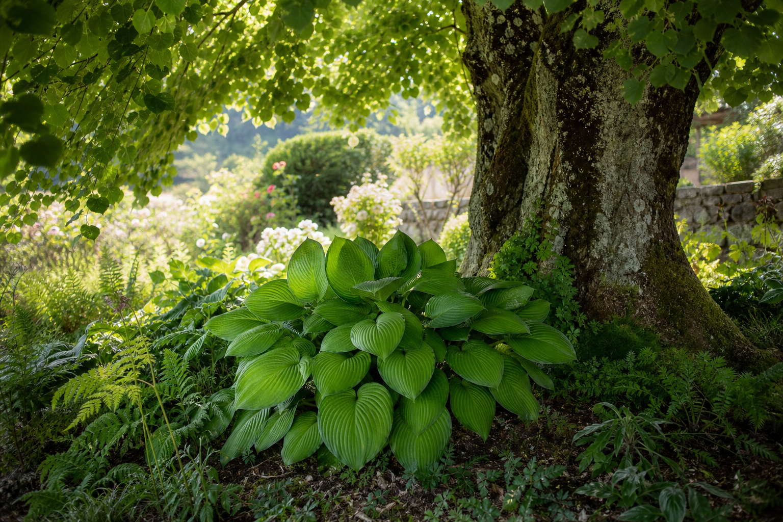 Le jardin du Pic Vert met les plantes à l’épreuve du terrain